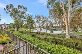Backyard lake view