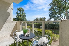 Patio view