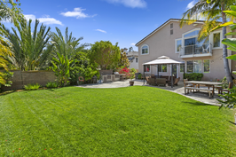 Sean backyard lawn